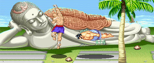 Street Fighter II: The World Warrior